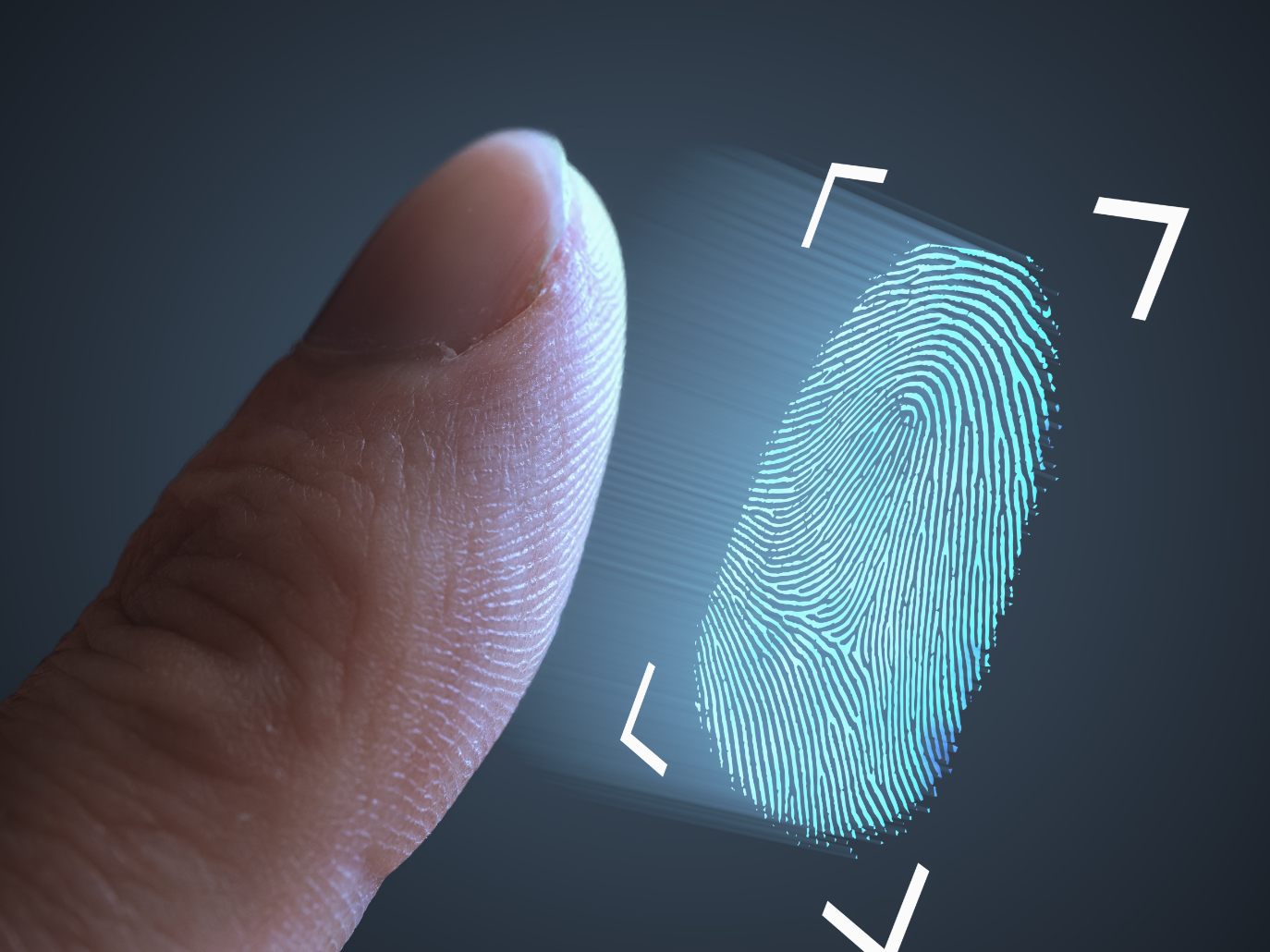 Fingerprint scanner