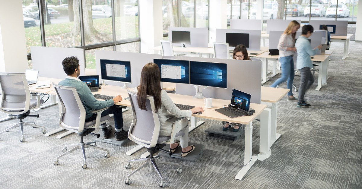 Several people working at computers in an office
