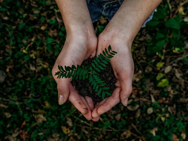 Responsible Disposal – Electronic Recycling and Sustainability