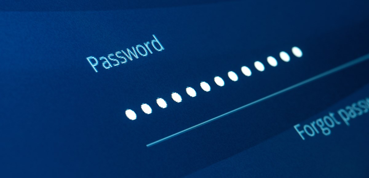 Example of a Password-protected platform access 