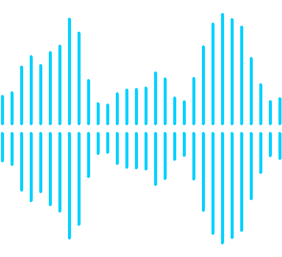 Icône Ondes sonores désactivées
                                                