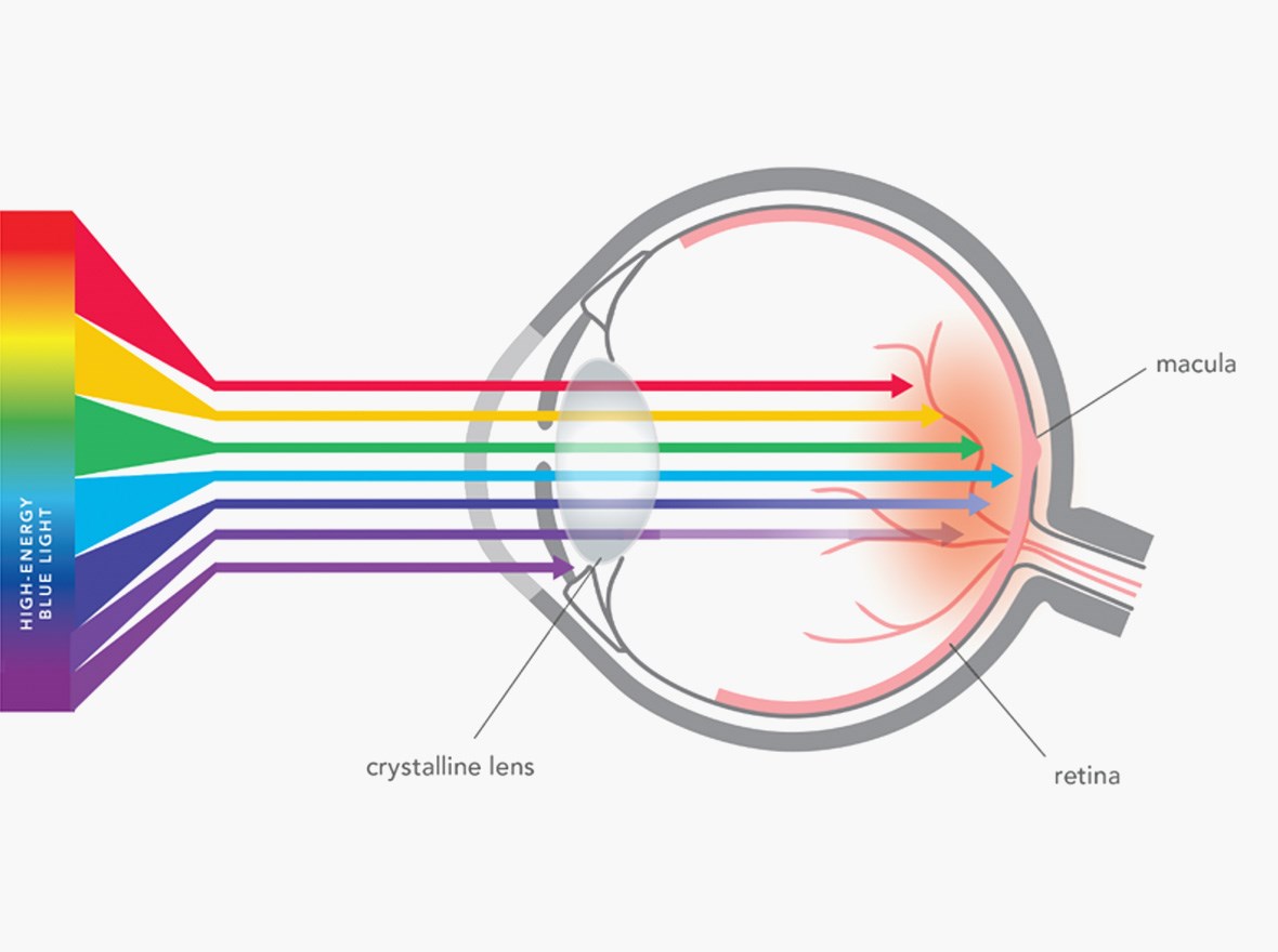 Eye diagram portraying the travel of the visible light spectrum through eye.