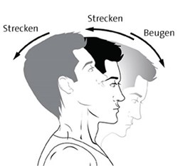 CBT25136DE-extension-flexion-1-286x266.jpg