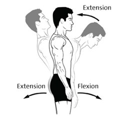 CBT25136EN-extension-flexion-3-286x266.jpg