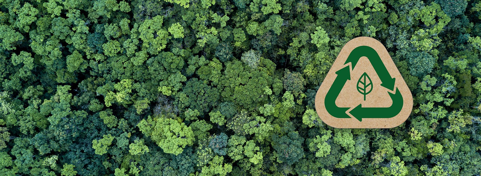 Overhead view of forest with recycling icon