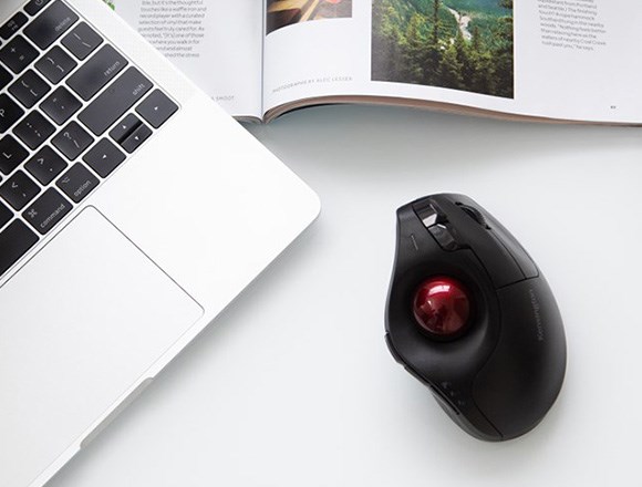 Pro Fit Ergo trackball on a desk.